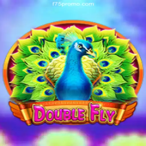 Exploring the Excitement of DoubleFly